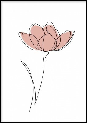 Flower colour pink