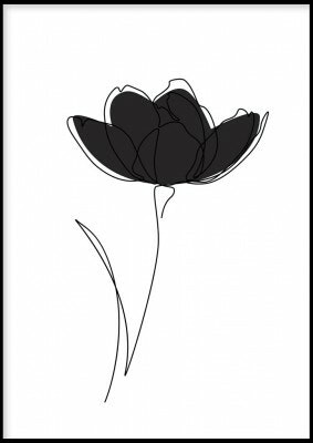 Flower colour grey