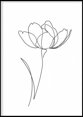 Flower colour white