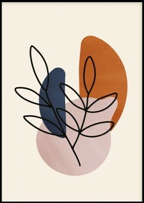 Shapes 1