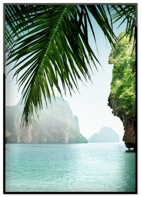 Paradise