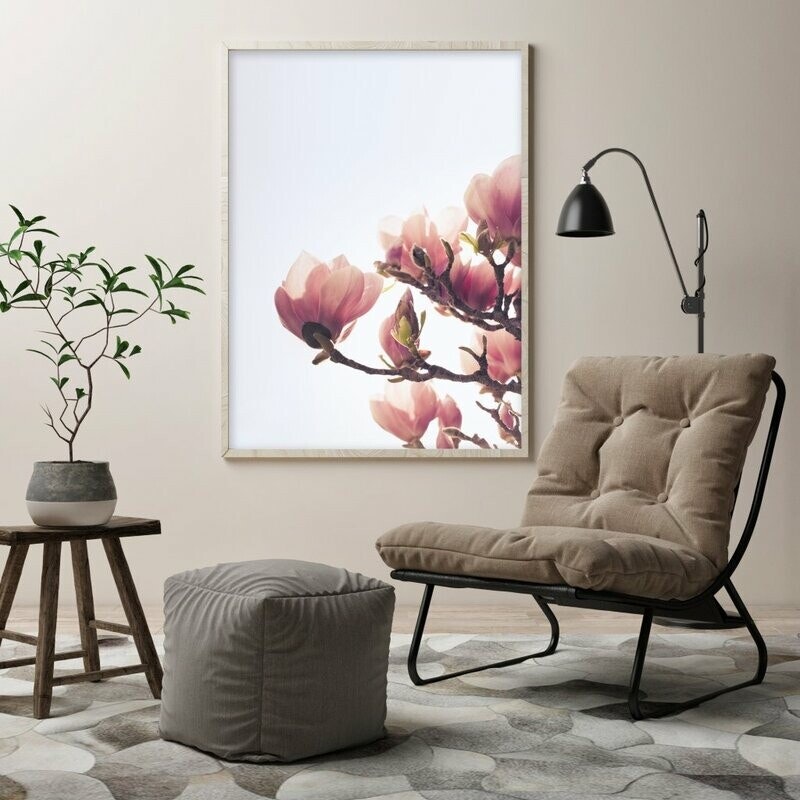 Magnolia