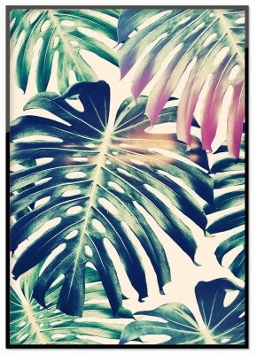 Jungle Leaves