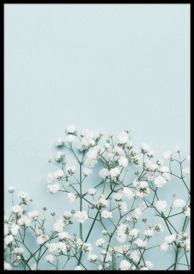White flowers, poster