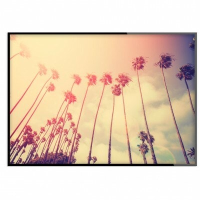 Retro palms
