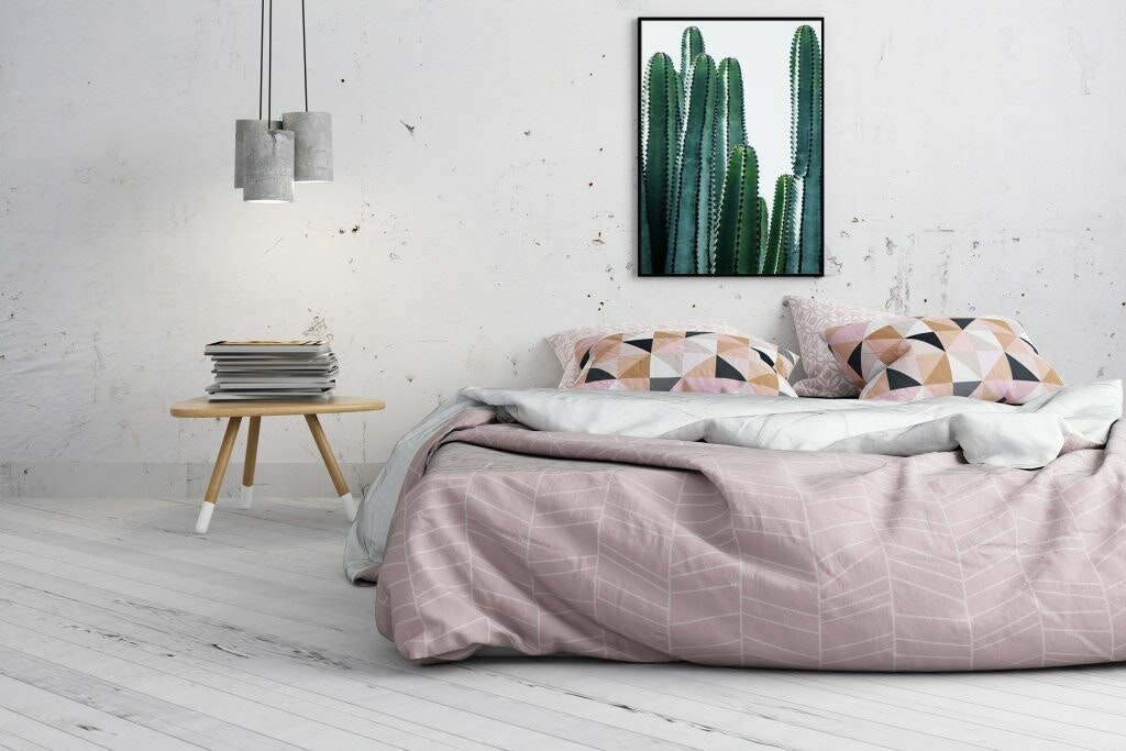 Cactus Plant