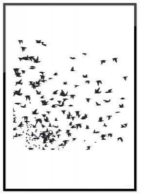 Flying birds