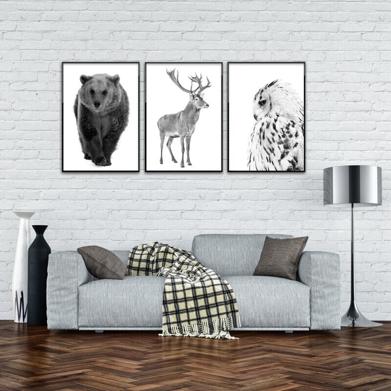 Deer