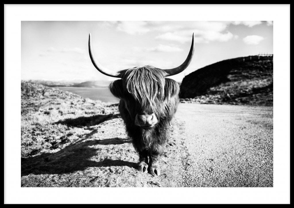 Furry Cow