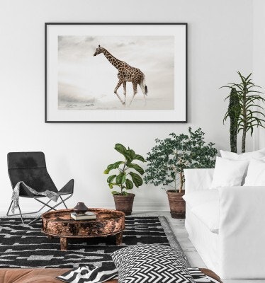 The Giraffe
