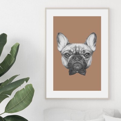 Dog with glasses