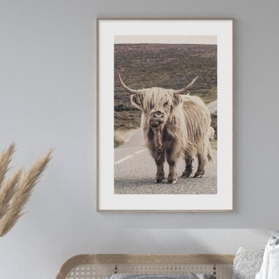 Standing cow