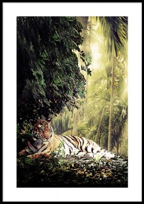 Jungle tiger