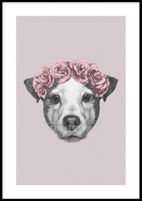 Blommig hund