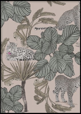 Leopard palm