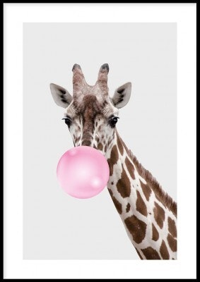 Giraffe and bubblegum