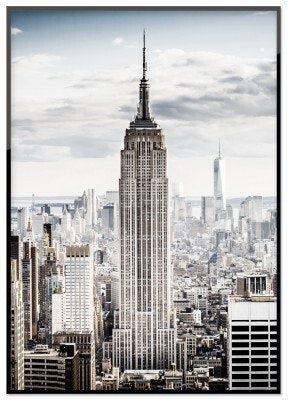 The city