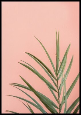 Miami leaf, poster