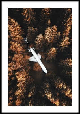 Plane in woods