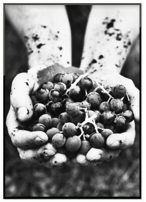 Holding Berries
