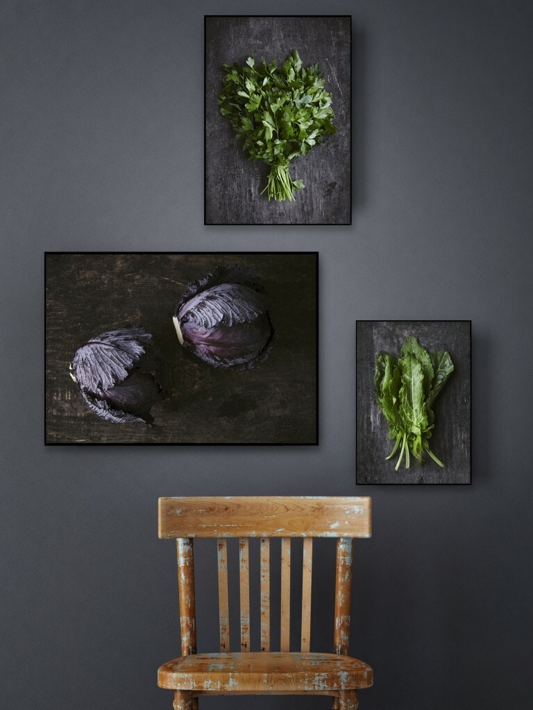 Red Cabbage