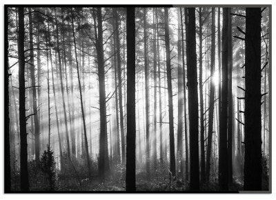 Black forest  13x18 cm