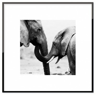 Sweet elephants, poster  30x30 cm