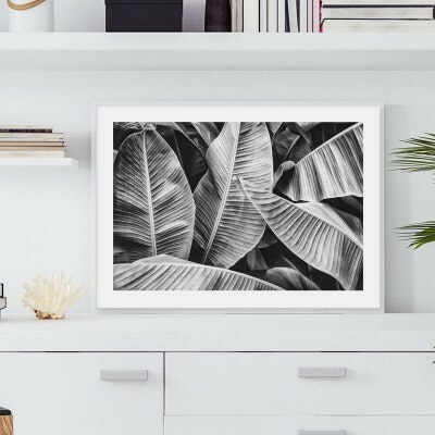 Tropical Palms  13x18 cm