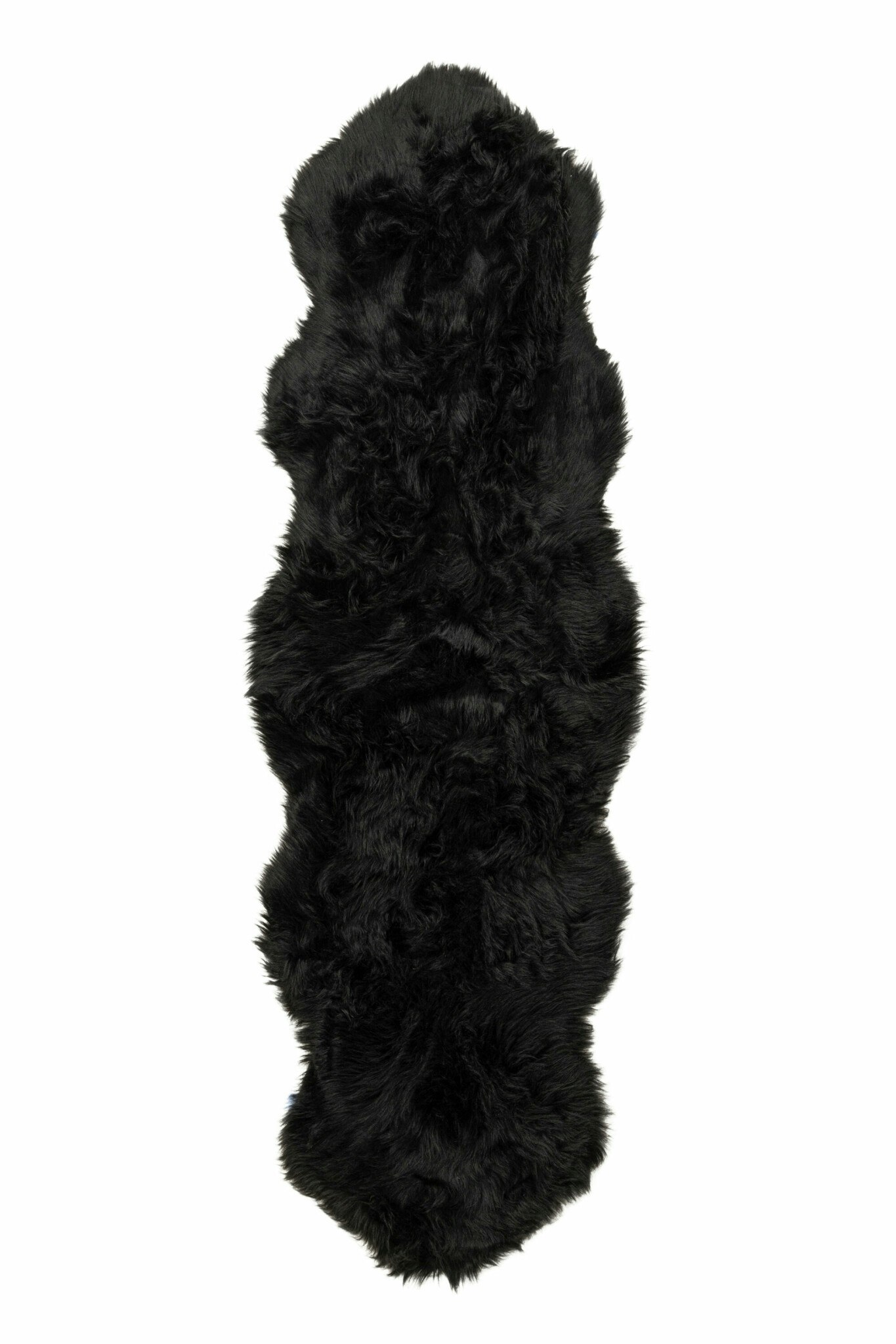 Katy Pläd
