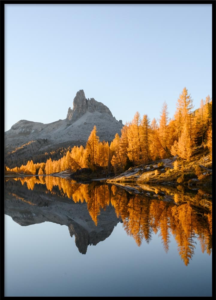 Poster Autumn lake & wood