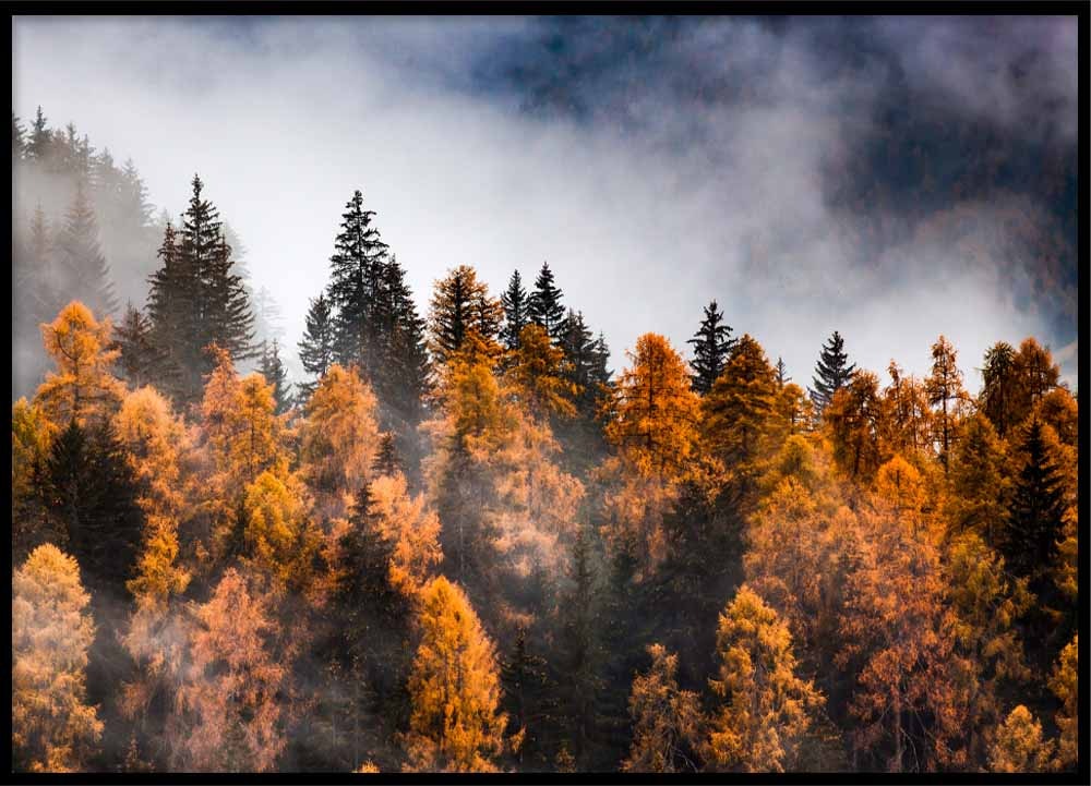 Poster Autumn nature