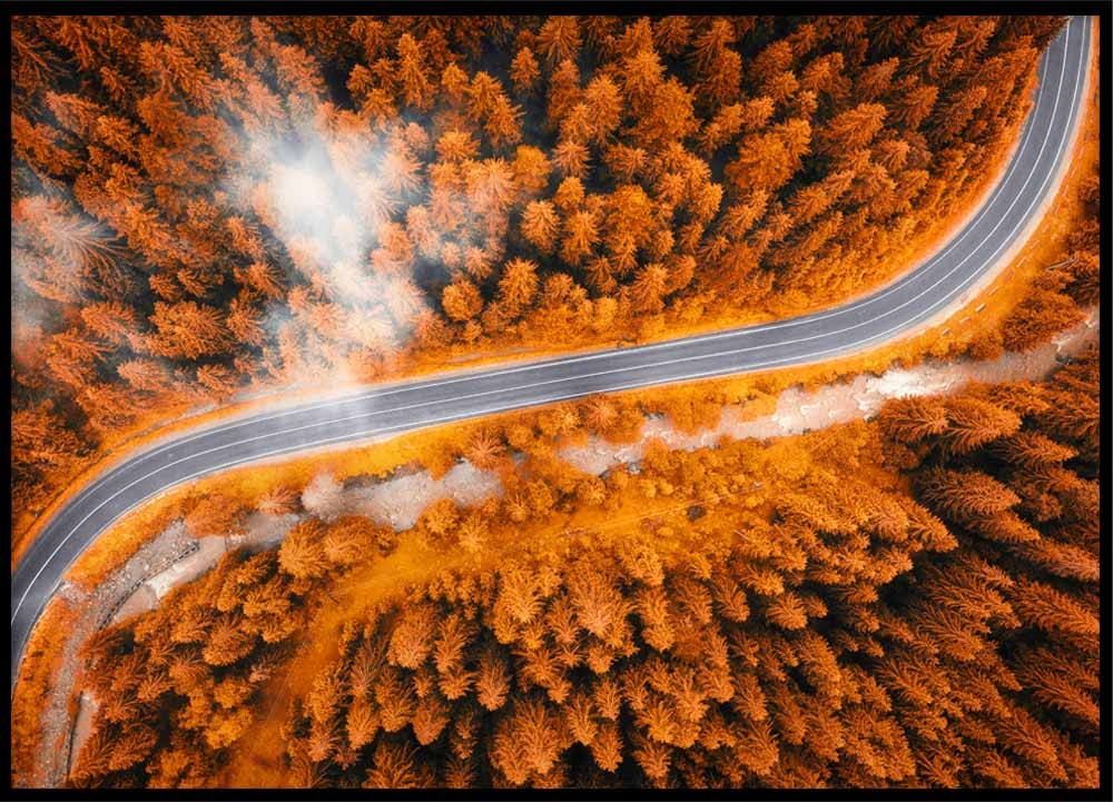 Poster Road in autumn