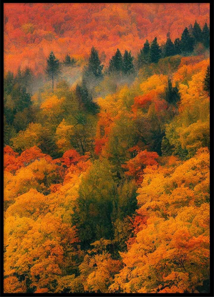 Poster View of the autumn forest