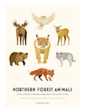 Poster Northern Forest Animals, Casablanca paper