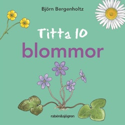 Titta 10 blommor, Björn Bergenholtz