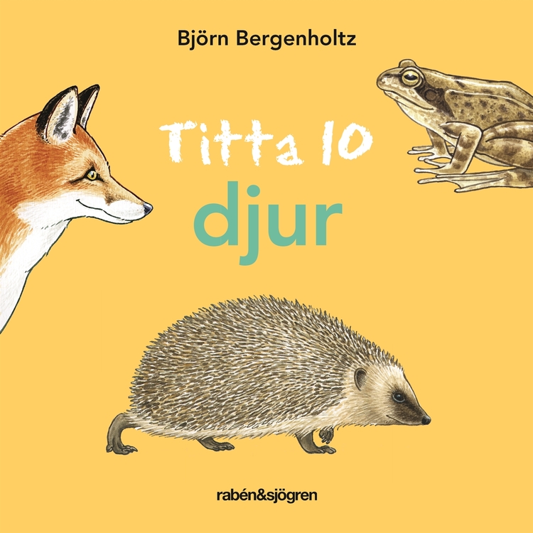 Titta 10 djur, Björn Bergenholtz