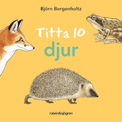 Titta 10 djur, Björn Bergenholtz