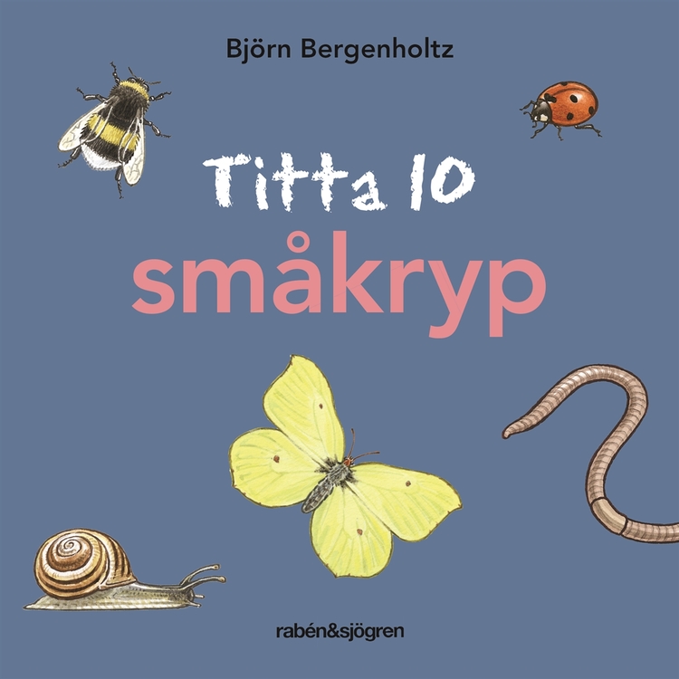 Titta 10 småkryp, Björn Bergenholtz