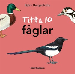 Titta 10 fåglar, Björn Bergenholtz