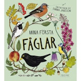 Upptäck naturen, Mina första fåglar