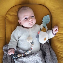 Teether Rattle forest friends