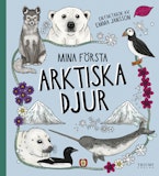 Upptäck naturen, Mina första arktiska djur