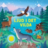 Ljud i det vilda, Sam Taplin
