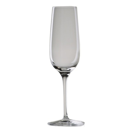 Wineland Champagne glas 20 cl, Stölzle