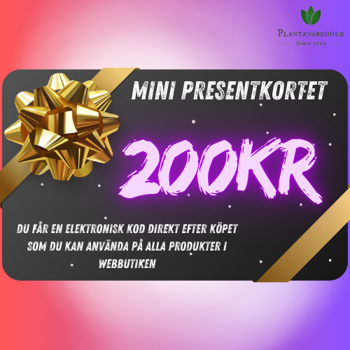 Mini - Presentkortet