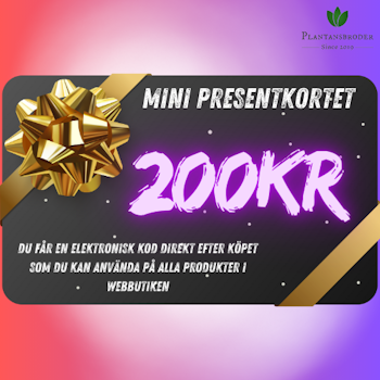 Mini - Presentkortet
