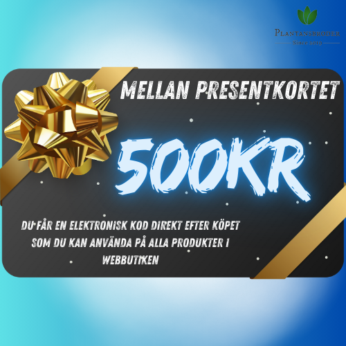 Mellan - Presentkortet