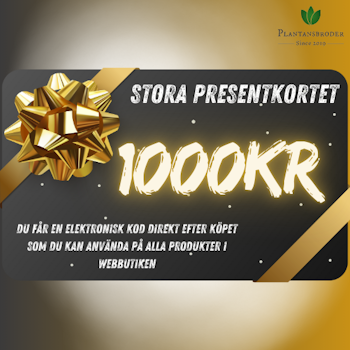 Stora - Presentkortet