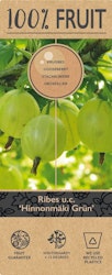 Krusbär/Ribes Uva-Crispa- Hinnonmäki Grün