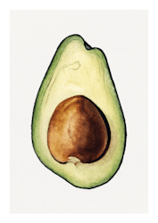 Fruktposter - Avocado i genomskärning (Fri frakt!)